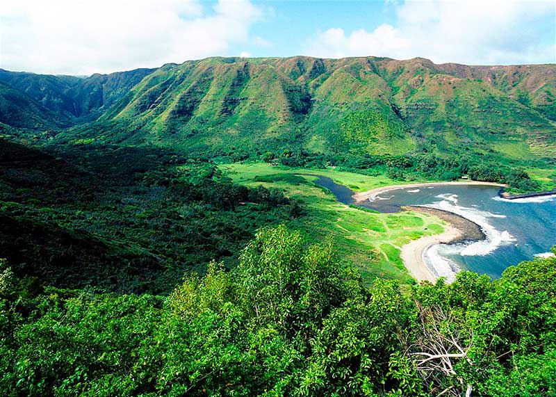 جنگل هاوایی در آمریکا جنگل های بارانی